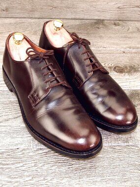 Allen Edmonds WHITNEY Plain Toe Derby 10 D Brown * add $15 new Trees